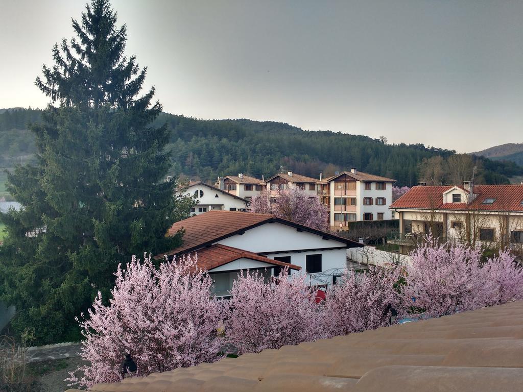 Larrasoana Casa Tau 게스트하우스 외부 사진