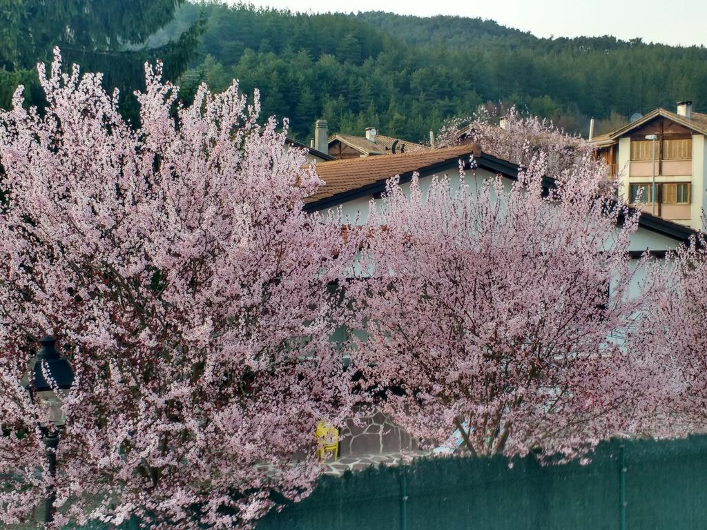 Larrasoana Casa Tau 게스트하우스 외부 사진